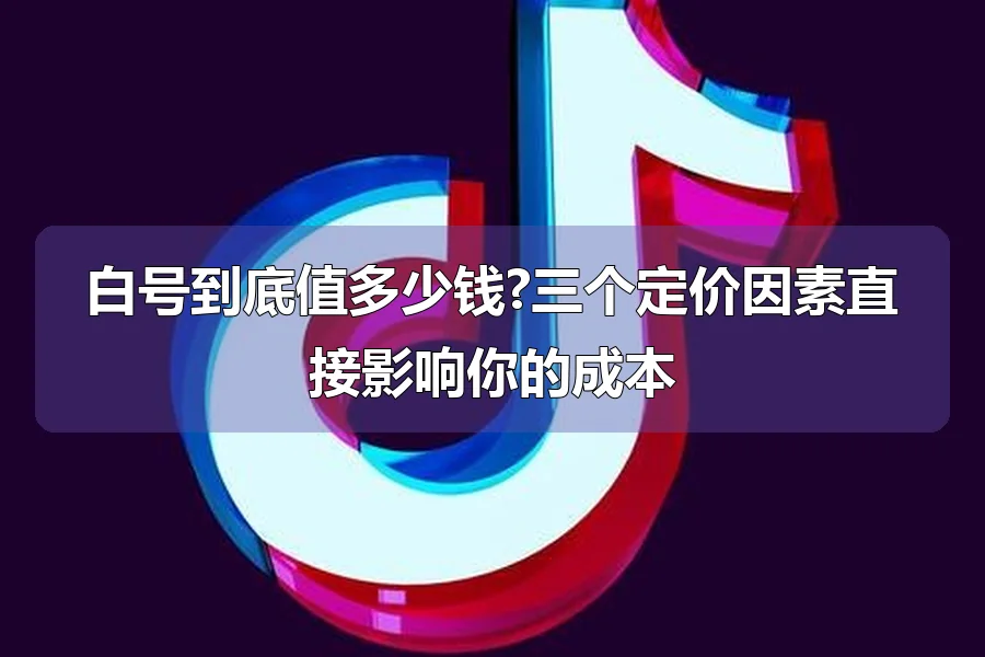 白号到底值多少钱?三个定价因素直接影响你的成本