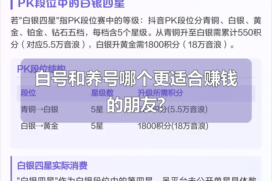 白号和养号哪个更适合赚钱的朋友?